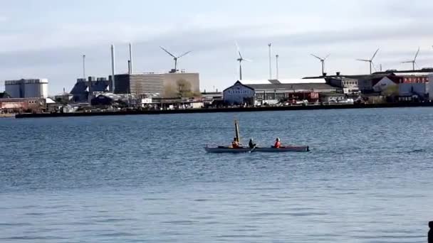 Sports Boat Canoe Three People Sails Sea Coast Copenhagen Denmark — Wideo stockowe