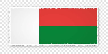 Şeffaf arkaplanda Madagaskar bayrağı bulunan yırtık kağıt pankartın vektör çizimi