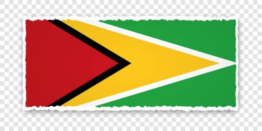 Saydam arkaplanda Guyana bayrağı bulunan yırtık kağıt pankartın vektör çizimi