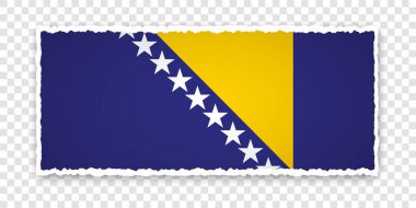 Bosna-Hersek bayrağının şeffaf arkaplanda olduğu yırtık kağıt pankartın vektör çizimi
