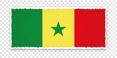 Şeffaf arkaplanda Senegal bayrağı bulunan yırtık kağıt pankartın vektör çizimi