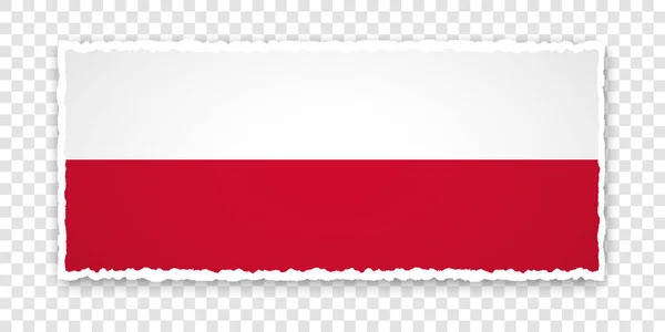 Διανυσματική Απεικόνιση Σχισμένου Χάρτινου Πανό Σημαία Της Πολωνίας Διαφανές Φόντο — Διανυσματικό Αρχείο