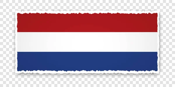Vektorová Ilustrace Roztrženého Papírového Banneru Vlajkou Nizozemska Průhledném Pozadí — Stockový vektor