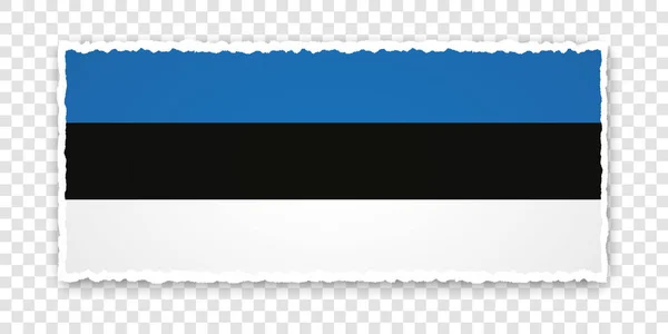 에스토니아 국기가 찢어진 그려진 — 스톡 벡터