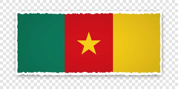 Ilustração Vetorial Banner Papel Rasgado Com Bandeira Camarões Fundo Transparente — Vetor de Stock