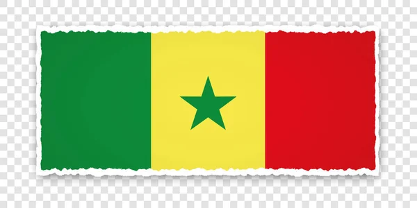 Ilustração Vetorial Banner Papel Rasgado Com Bandeira Senegal Fundo Transparente — Vetor de Stock