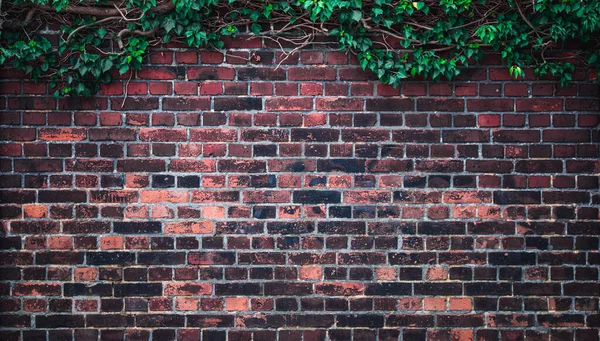 stock image dark texture of old red bricks wall background