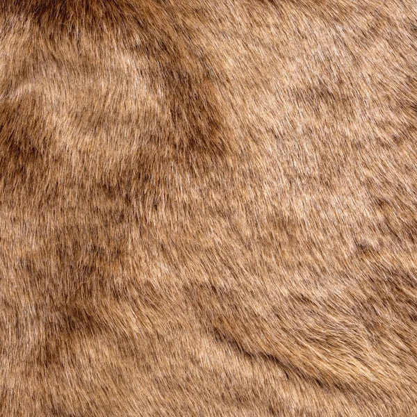 Kahverengi Kürkün Doku Arkaplanı — Stok fotoğraf