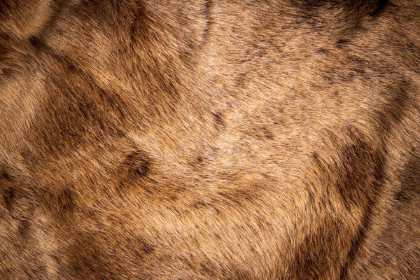 текстура фона из коричневого меха