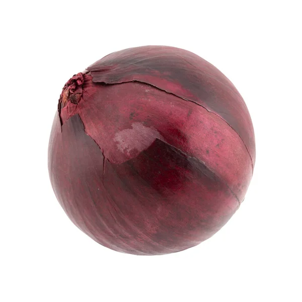 Απομονωμένο Γκρο Πλαν Φωτογραφία Κόκκινο Κρεμμύδι — Φωτογραφία Αρχείου