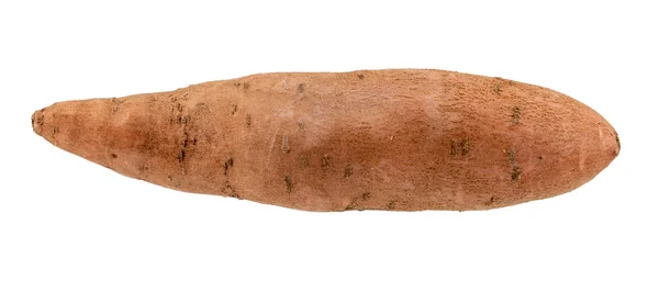 Изолированное Крупным Планом Фото Сладкого Картофеля — стоковое фото