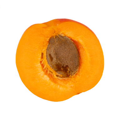 Beyaz arka planda izole edilmiş olgun kayısı.