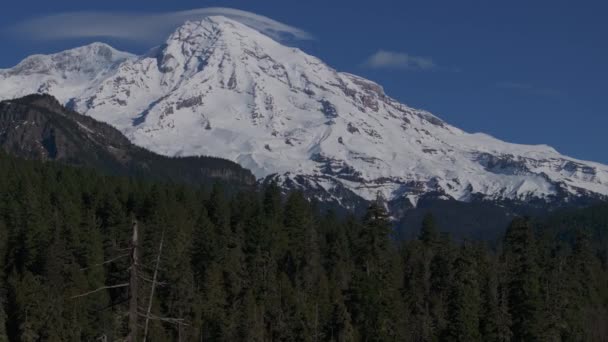 Aerial View Gifford Pinchot National Forest Rainier Clear Blue Sky — Stock Video