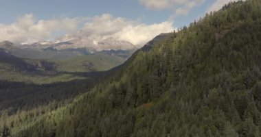 Parçalı bulutlu bir gökyüzünün altındaki kar kaplı Rainier Dağı 'nın nefes kesen manzarasıyla pitoresk bir orman vadisi..
