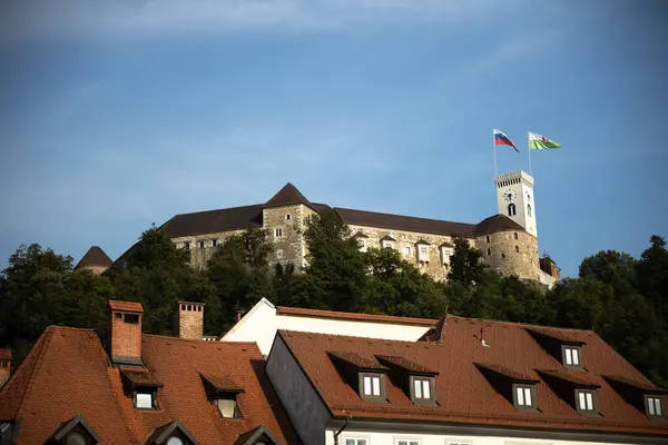 リュブリャナ スロベニア 2021年8月13日 晴れた夏の日にスロベニアリュブリャナの首都の中世城 — ストック写真