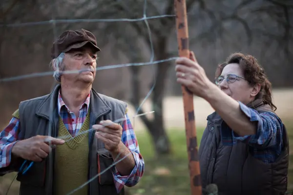 シニアマンと彼のシニア妻は 田舎の野生動物から庭を保護するためにフェンスを修理 — ストック写真