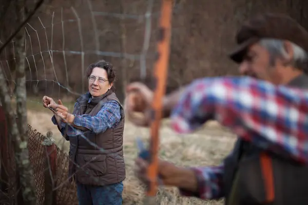 スロベニアの田舎の野菜園の保護フェンスを修理する彼女の夫を助ける成熟した女性農家 — ストック写真