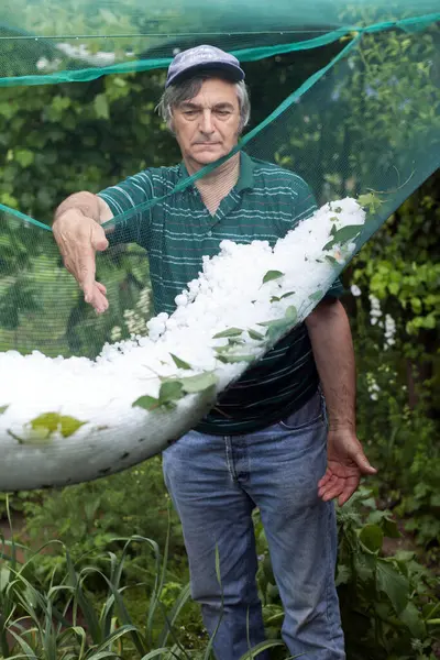 シニアマンは 昨年の夏の嵐からハイルストーンズ クオリティを展示しています アンチハイル網の氷の中で — ストック写真