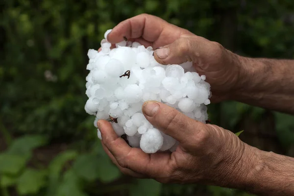 Κοντινό Πλάνο Αντρικό Χέρι Αποκαλύπτει Hailstones Παγιδευμένα Προστατευτικά Δίχτυα Μια — Φωτογραφία Αρχείου