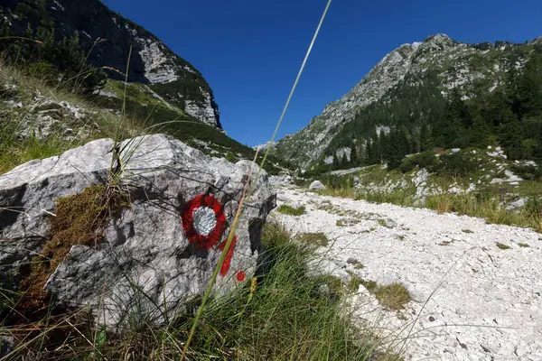 Trail Markings on an Alpine Trail Footpath in Summer Slovenia - Krn lakes