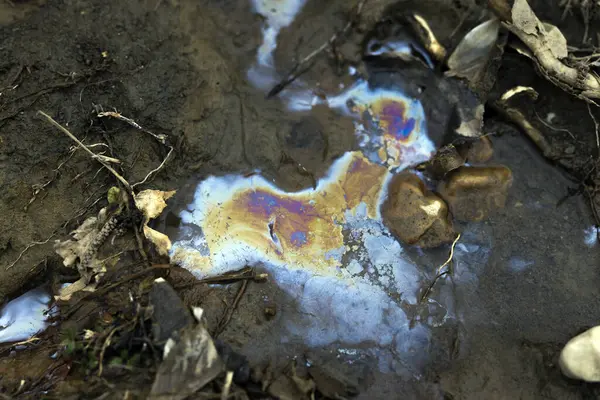 Oil Pollution on Soil of a RiverBed
