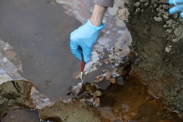 汚染された水からの生物学的サンプルを取ることのラテックスの保護手袋が付いている人間の手 — ストック写真