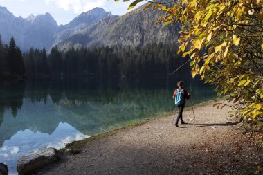 Yetişkin Kadın Turist Yürüyüşü Alp Gölü 'nün kıyısında Sudaki Yansımalar ve Manzaranın Tadını Çıkartıyor - Fusine Lakes Tarvisio, İtalya