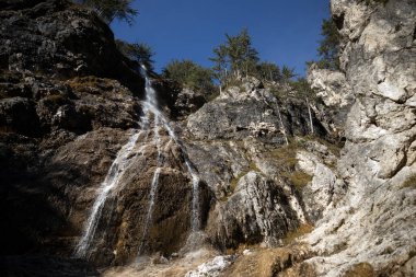 Şelaleler su akışında Roja Kütük kapsülü Mangartom Ulusal Parkı rezervi Slovenya 'da