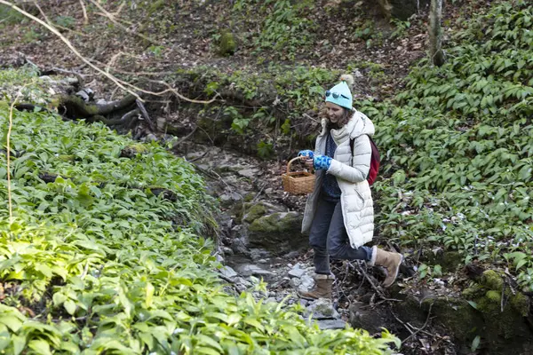 Dospělá Bylinkářka Expert Procházky Proudu Vody Lese Hledání Čerstvých Listů — Stock fotografie
