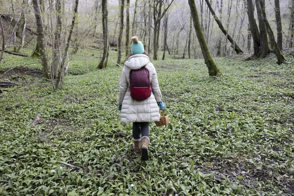Adult Casual Warm Clothes Woman Herbalist Exploring Woods in Search of Medical Herbs in Early Spring