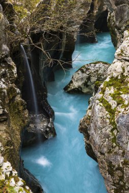 Slovenya Trenta Vadisi 'ndeki Büyük Turkuaz Geçitleri Coldred Soca Nehri