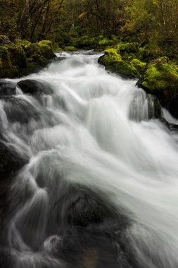 Bovec Slovenya 'nın yukarısındaki Buz Soğuk Gljun Nehri İlkbaharı