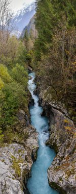 Soca Nehri 'nin dikey Panoraması Güzel Büyük Vadisi Slovenya' da