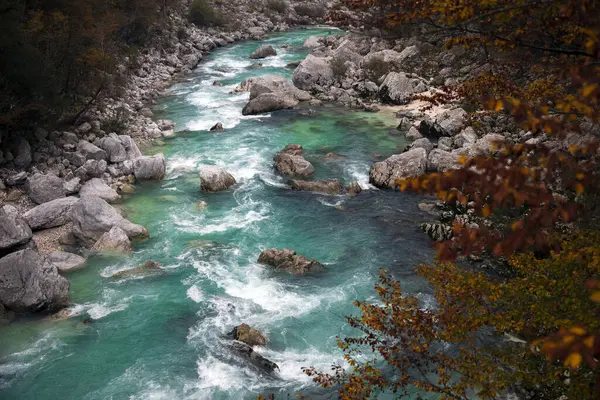 Slovenya 'nın Trnovo ob Soci kasabası yakınlarındaki güzel Turkuaz Coldred Soca Nehri Julian Alps