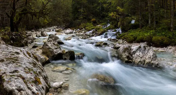Alpine River Krajcarca Zadnjica Valley Triglav National Park Eslovénia — Fotografia de Stock