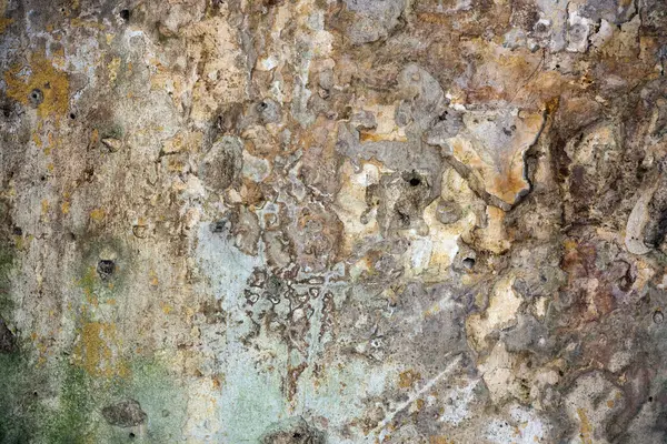 Mold on Rotten Wall Background Full frame