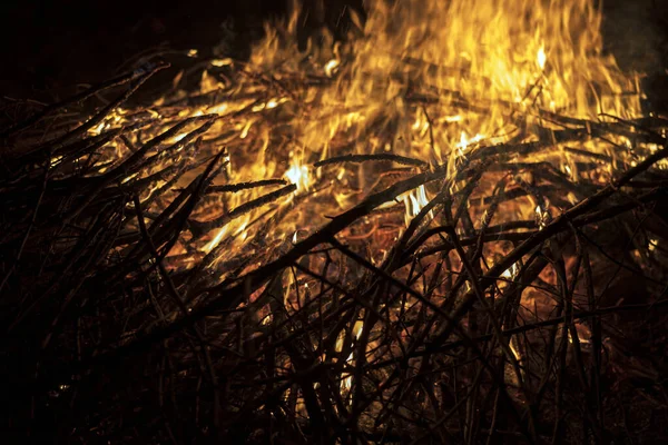 森林火災フルフレーム 閉じる — ストック写真