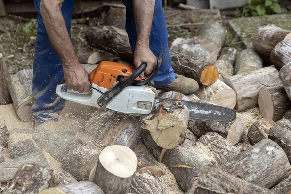 Chainsaw Work in Home Backyard Close up