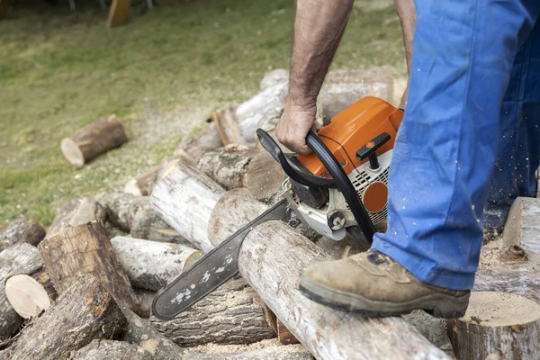 Chainsaw Work in Home Backyard Close up