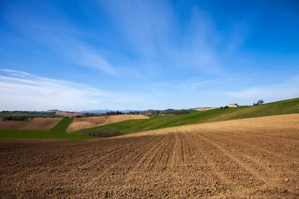 Farming Fields in Marche Italy