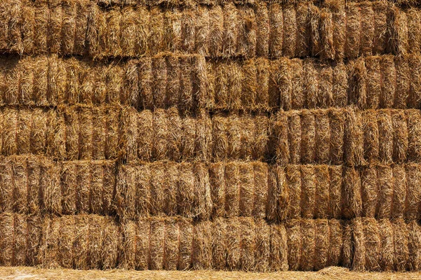 Stacked Straw Hay Balls full frame Marche Italy