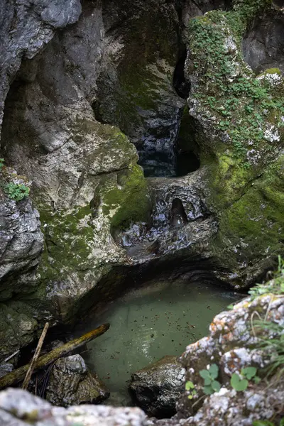 Slovenya 'nın Bohinj vadisindeki Grmecica kanyonu