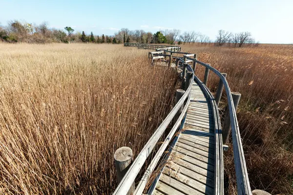 Punta Sdobba Wetland and its walk paths over swamp near the delta of river Isonzo/ Soca in the Adriatic sea.