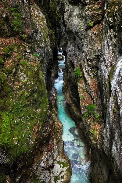 Gargantas Cachoeiras Água Corrente Monica Nos Alpes Julian Eslovenos Uma — Fotografia de Stock