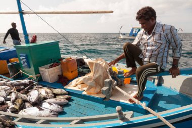 Bathala Adası, Maldivler - 12 Eylül 2009: Yerel balıkçılar tatil köyü servis iskelesine şefin mutfak için ne seçeceğini görmek için taze balıklar getirdiler.