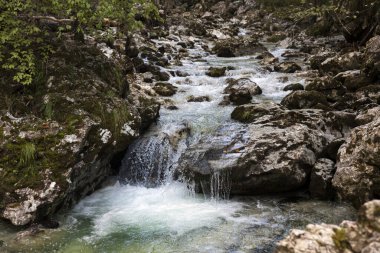 Clean Drinkable Water of Stream Gacnik in Trebusa Slovenia