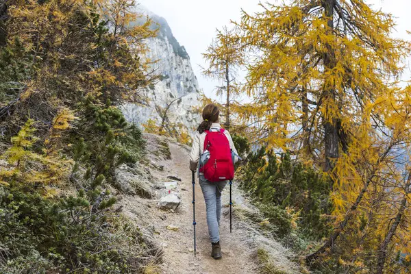 Mulher Com Mochila Vermelha Caminhadas Cores Outono Montanhas — Fotografia de Stock