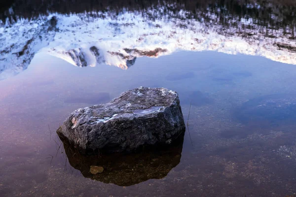 Contemplation Stone Winter Morning Reflections Calm Water Alpine Lake — стокове фото