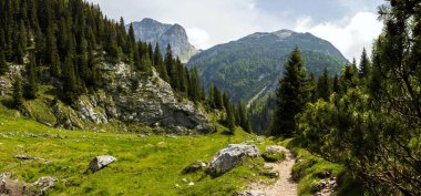 Slovenya 'daki Krn Dağı' nın altındaki Duplje Vadisi 'nin Alp Awe Panorama Tepesi 