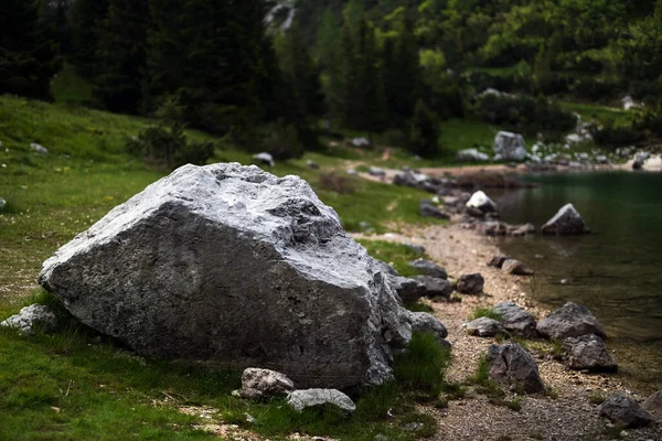 Pobřežní Prostředí Alpského Velkého Krnského Jezera Slovinských Juliánských Alpách Velké — Stock fotografie